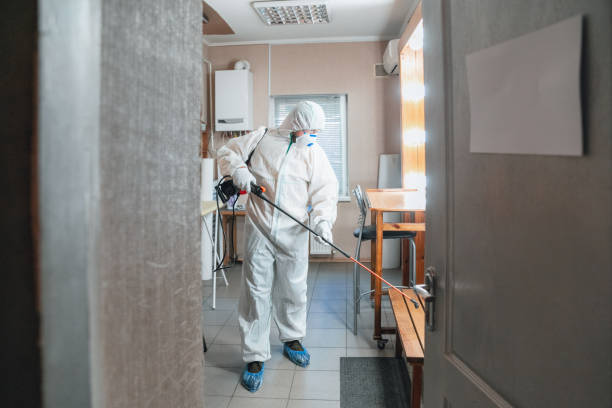 Best Post-Remediation Verification Testing  in Twentynine Palms, CA
