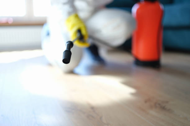 Best Industrial Mold Remediation  in Twentynine Palms, CA